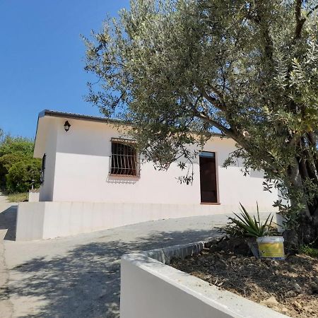Villa Paradiso Montegiordano Exterior photo