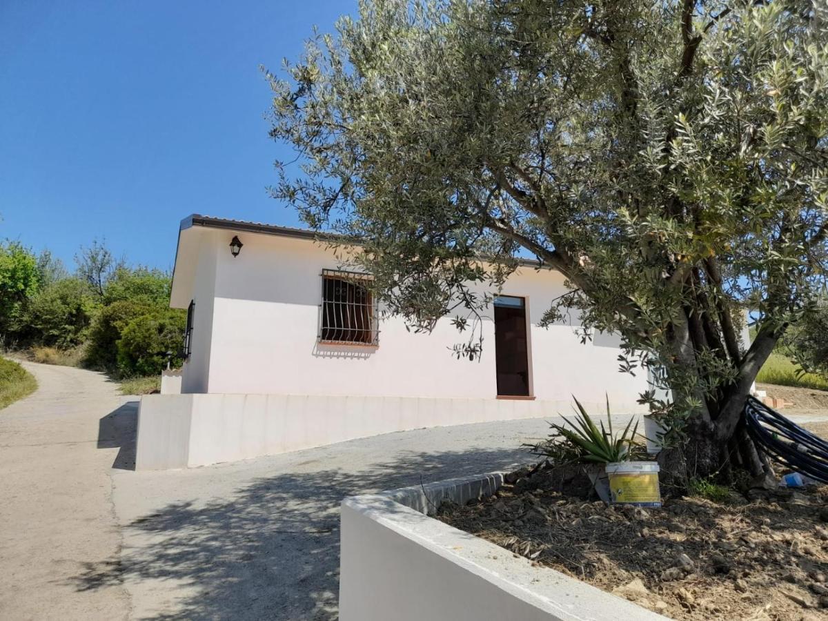 Villa Paradiso Montegiordano Exterior photo